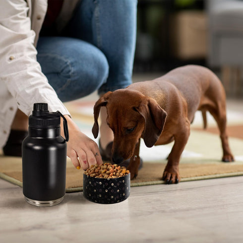 AGH Dog Water Bottle, 32oz Portable Dog Water Bottle with Detachable Bowl Food Feeding, Double Wall Vacuum Flask Stainless Steel Dog Travel Water ...