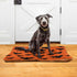 Happy Halloween Dog Bed Mat for Small Dog Puppy Cat Kitten, Halloween Bats Pattern Ultra Soft Pet Bed Mattress for Crate with Anti-Slip Washable, ...