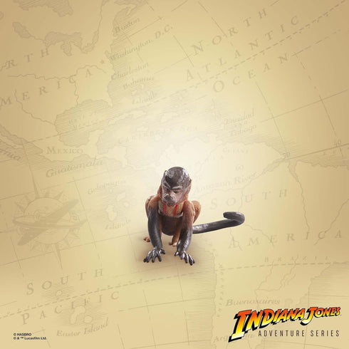 Indiana Jones Adventure Series: Indiana Jones and The Raiders of The Lost Ark, Indiana Jones (Cairo) Action Figure, 6-Inch Action Figures, Ages 4 ...