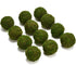 BYHER Natural Green Moss Decorative Ball,Handmade (2"-Set of 12)...