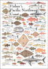 Earth Sky + Water Poster - Fishes of the Pacific Northwest Coast...