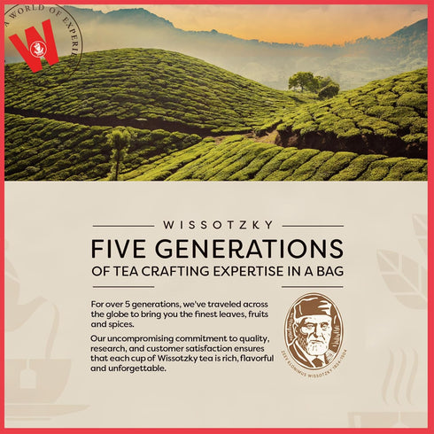 Wissotzky Fruit Galore Herbal Tea, 20 Tea Bags | Caffeine Free Tea | Antioxidant Rich | Fruity Blend | Herbal Tea Bags...