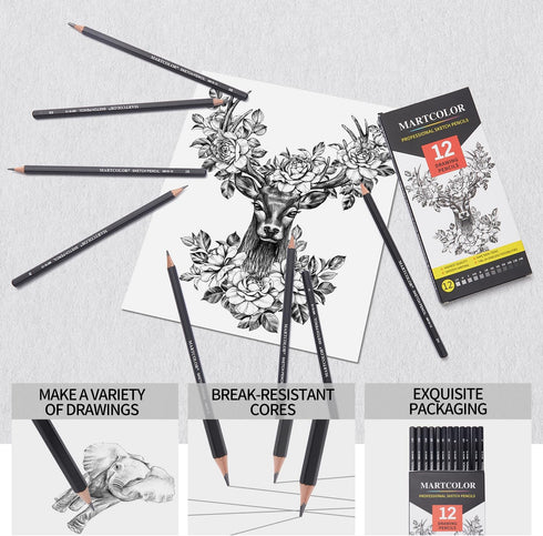 YUANCHENG Professional Drawing Sketching Pencil Set - 12 Pieces,Graphite,(14B - 2H), Graphite Pencils for Drawing, Shading Pencils for Sketching, ...