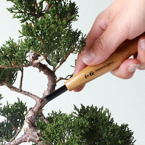 Wazakura Made in Japan Bonsai Chisel Hand V-Parting Carving Tool 0.17 in (4.5 mm) for Jin Shari Making, DIY Woodcarving Knife for Experts and Begi...