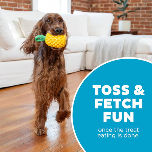 Outward Hound Dental Pineapple Dental Chew Toy and Interactive Treat Stuffer Durable Dog Toy Stuffable Dog Toy, Yellow...