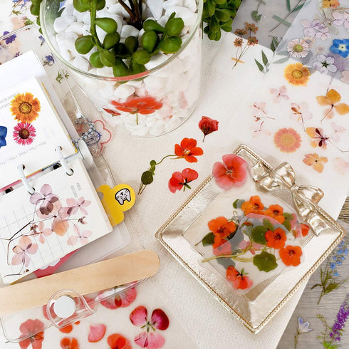 Rub On Transfer Sticker Scrapbook Stickers Flower Stickers Decoration Sticker Planner Stickers Plant Stickers for Scrapbooking Diary Album Journal...