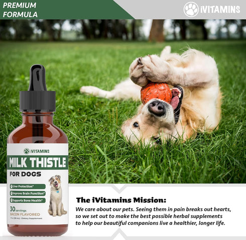 Milk Thistle for Dogs | Supports Liver and Kidney Health | Milk Thistle for Dogs Liver Support | Dog Milk Thistle | Dog Liver Support | Dog Liver ...