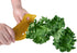 Herb Stripper - Kale Leaf Separator Herb Stripping Tool For Kale, Chard, Collard Greens, Mint, Beets, Celery, Dill, Lettuce, Thyme, Basil, Rosemar...