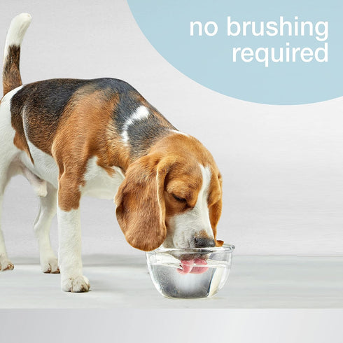Nylabone Advanced Oral Care Dog Water Additive for Dental Care - Liquid Tartar Remover - Dog Breath Freshener & Teeth-Cleaning Liquid (16 oz.)...