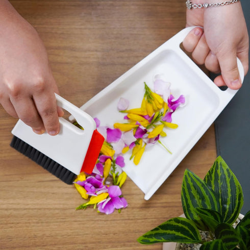 Small Broom and Dustpan Set - Compact Mini Broom with Dustpan Combo for Home, Camping, and Travel-Ideal for Small Spaces - Whisk Broom and Dust Pa...