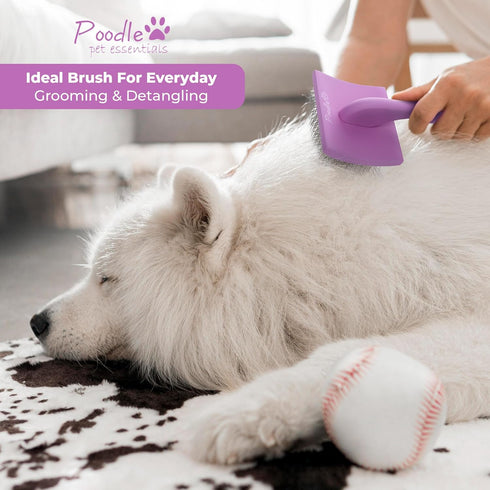 Slicker Brush for Dogs - Detangling Dog Brushes for Grooming with Soft Bristles & long Pins - Professional Dog Grooming Brush to Removes Tangles &...