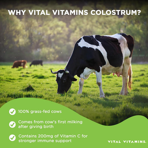 Vital Vitamins Colostrum Supplement - Grass-Fed Bovine Colostrum from First Milking - Standardized to Contain 30% IgG Immunoglobulins - Supports I...