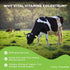 Vital Vitamins Colostrum Supplement - Grass-Fed Bovine Colostrum from First Milking - Standardized to Contain 30% IgG Immunoglobulins - Supports I...
