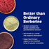 Enzymedica, Berberine Phytosome...