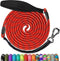 NTR Dog Leash Long, Pet Leash with Upgrade Swivel Lockable Hook & Ergonomic Padded Handle, Reflective Bungee Red Nylon Dog Leash for Walking, Hunt...