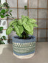 Plant Pots, Planters Indoor Plant Pot for All Home Garden Flowers Succulents Modern Round Decorative Flower Pot Indoor (Style 7)...