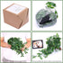 Whonline Fake Hanging Plants, Artificial Small Potted Plants for Indoor Outdoor Aesthetic Office Living Room Shelf Decor (1 Pack)...