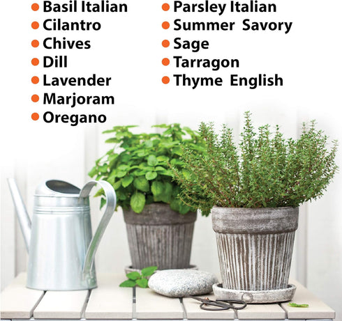 Set of 12 Heirloom Culinary Herb Seeds - 3800 Seeds for Indoor and Outdoor Planting - Basil, Cilantro, Chives, Lavender, Oregano, Dill, Thyme, etc...