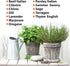 Set of 12 Heirloom Culinary Herb Seeds - 3800 Seeds for Indoor and Outdoor Planting - Basil, Cilantro, Chives, Lavender, Oregano, Dill, Thyme, etc...