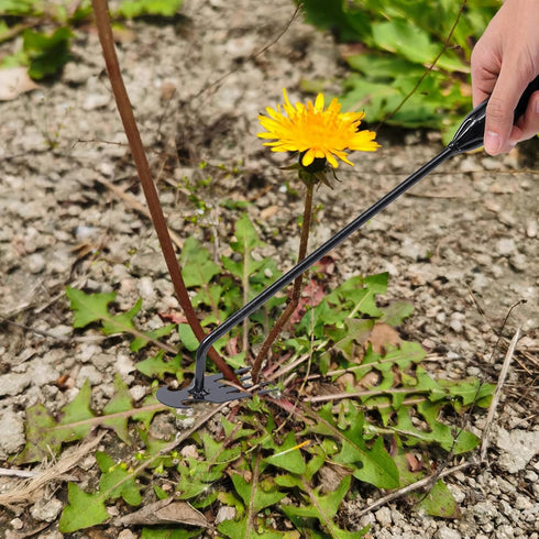 Hand Weeder Tool Garden Weeding Tool, Uprooting Weeding Tool Gardening Weeder Tool, Stainless Steel Gardening Tools for Yard and Garden, 3 Pcs...