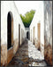 Posterizer 1 pcs-quiet Mediterranean or North African village alleyway 6-Photography Art Gift for Men Women Entrepreneur Teens Decor for Home & O...