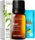 Gya Labs Basil Essential Oil for Diffusers - 0.34 Fl Oz - 100% Pure Natural Basil Oil for Skin, Massage, Fragrance & Candles Making Scent...