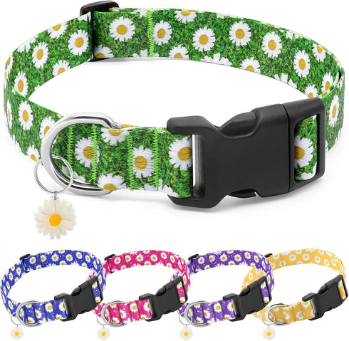 BiPawTi Green Dog Collar for St. Patrick's Day, Cute Flower Puppy Collar for Extra Small Dog, Floral Spring Dogs Collar for Small Dogs with Pretty...