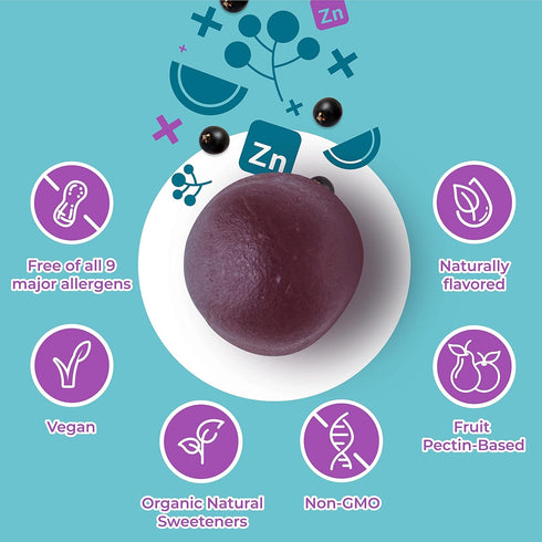 Hyland's Naturals Organic Elderberry Plus Gummies, Organic Black Elderberry with ZINC and Vitamin C, Immune Support Supplement for Adults, 60 Vega...