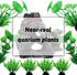 Aquarium Decorations Plants with Rockery View, Aquarium Decor Green Plants and Rock Cave Hideout Ornaments, Fish Tank Accessories, Fish Tank Plant...