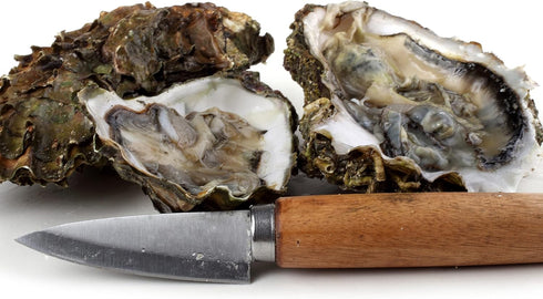 Oyster Shucking Knife, Commercial Grade Clam and Shellfish tool With Ergonomic Grip And Wood Handle, Good For Home Restaurant Kitchen And Outdoor ...