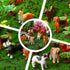 Sratte 26 Pcs Mini Dog Figurines Playset 12 Toy Dogs 9 Model Trees 5 Artificial Flowers Animal Figurines Diorama Supplies for Cake Toppers Toddler...