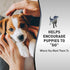 Nature's Miracle Advanced Platinum Puppy Potty Training Spray 8 Oz, Dog Training Aid...