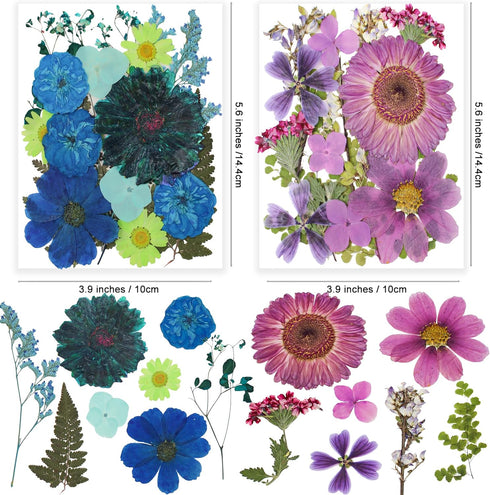 116PCS Large Dried Pressed Butterfly Sticker Flower for Resin, Big Real Nature Pressing Floral Leaves for DIY Craft, Mold, Jewelry Making, Candle ...