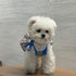 3 Pcs Floral Dog Dresses Dog Clothes for Small Dog Girl Summer Dress for Puppy Kitten Cute Lightweight Breathable Cotton L...