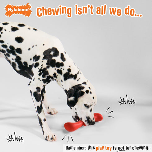 Nylabone Stik-GO Interactive Dog Toy - Lightweight Flexible Floatable Dog Fetch Toy for Creative Play & Dog Exercise...