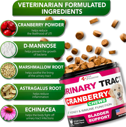 Dog UTI Treatment - Cranberry Supplement for Dogs UTI - Bladder Control for Dogs - Dog Urinary Tract Infection Treatment - UTI Medicine for Dogs -...