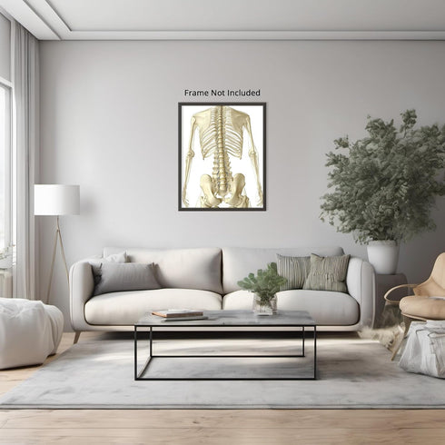 Posterizer 1 pcs-detailed anatomical illustration of the human spinal column 2-Teachers & Classrooms-Abstract & Modern Art-School and classroom ar...