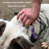 Quick Adjust E-Collar Replacement Strap Dog Training Collar Fits Fi, Dogtra, Sportdog Replacement Strap, Genuine BioThane®-Made in The USA (HF Bla...
