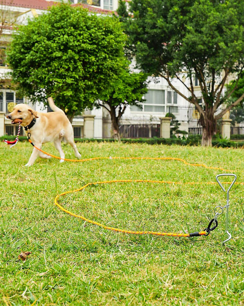 Joytale Long Leash for Dogs, Training Leash with Removable Padded Handle, Double Hook, 15FT/30FT/50FT/65FT Dog Obedience Recall Training Agility L...