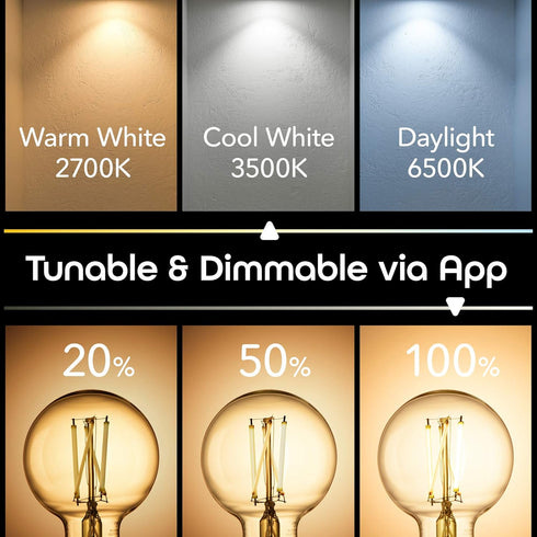 Geeni Smart Light Bulb - Alexa and Google Home Compatible, Amber LED Programmable and Dimmable Wifi Light Bulb, App Controlled (G25-2 Pack)...