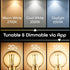 Geeni Smart Light Bulb - Alexa and Google Home Compatible, Amber LED Programmable and Dimmable Wifi Light Bulb, App Controlled (G25-2 Pack)...