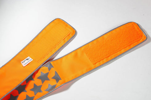 Reflective Dog Collar. Fluorescent, Blaze Orange with Adjustable Fastener for Small, Medium & Large Pets. High Visibility Dog Products to Safeguar...