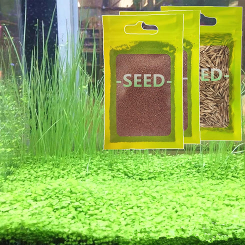 3 pack Aquarium Plant S-e-e-d Combo, not Artificial Plastic, Fresh Water Grass for Fish Tank,not Plastic aab12...