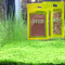 3 pack Aquarium Plant S-e-e-d Combo, not Artificial Plastic, Fresh Water Grass for Fish Tank,not Plastic aab12...
