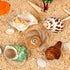 5PCS Hermit Crab Shells | Natural Sea Conch Size 2.1" - 2.8", Opening Size 0.9" - 1.5" | Medium Large Turbo Seashells for Hermit Crab Supplies and...