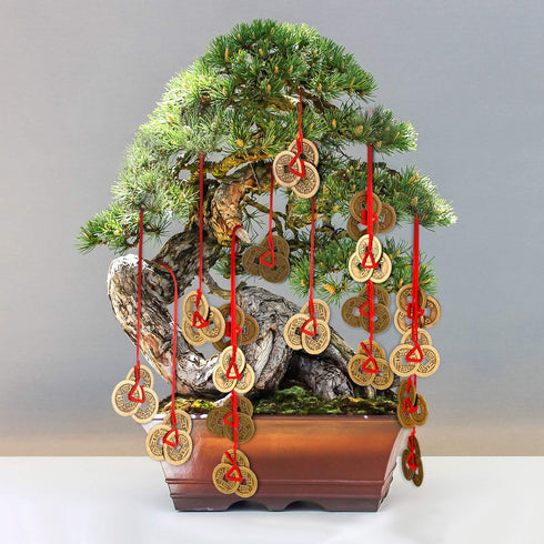 Boao Chinese Fortune Coins Feng Shui I Ching Good Luck Coins Traditional Brass New Year Favor with Red String for Wealth and Success, 5 Styles(20 ...