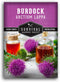 Burdock Seed for Planting - 1 Packet with Instructions to Plant & Grow Burdock Root (GOBO) in Your Home Vegetable Garden - Burdock Plant - Non-GMO...
