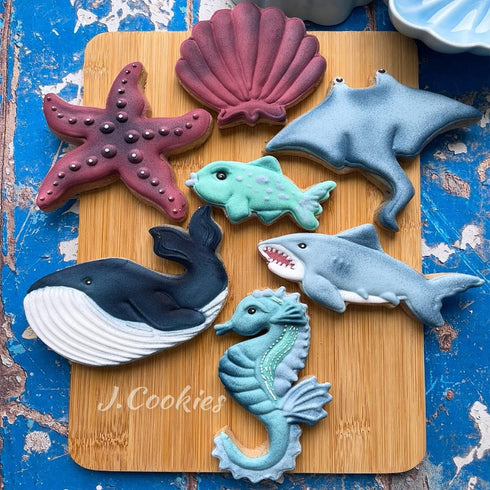 LILIAO Seahorse Cookie Cutter - 2.5 x 4.4 inches - Stainless Steel...
