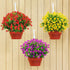 GREENRAIN Artificial Flowers Outdoor Fake Flowers for Decoration UV Resistant No Fade Faux Plastic Plants Garden Porch Window Box Décor (6 Bundles...