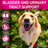 Dog UTI Treatment - Cranberry Supplement for Dogs UTI - Bladder Control for Dogs - Dog Urinary Tract Infection Treatment - UTI Medicine for Dogs -...